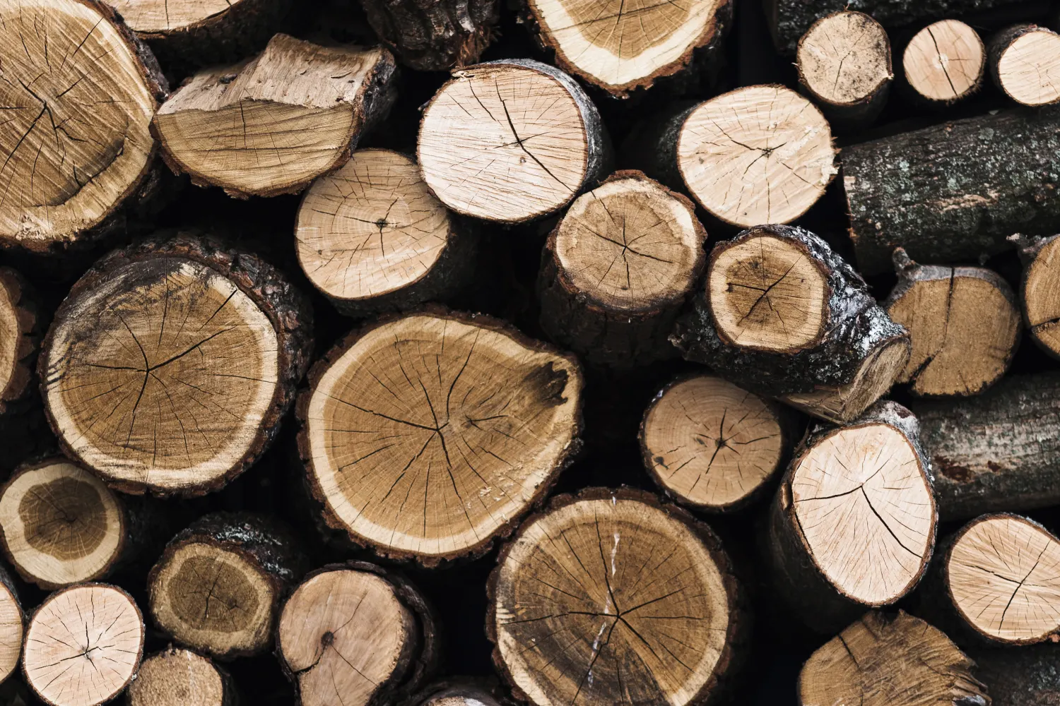 Lumber freight — dimensional and engineered wood ready for transport.